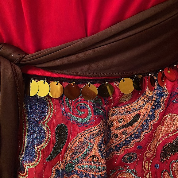 Gypsy Dance Costume - Picture 3 of 4